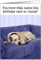 Humorous Birthday Card - Dog with Headphones Listening to Music card