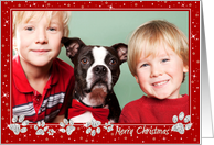 Christmas Photo Card - Sparkle Effect Paws card