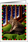 Christmas Cat Sleep in Heavenly Peace card