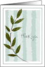 Elegant Thank you Card with Leaves card