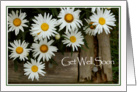 Get Well Healing Thoughts Daisies card