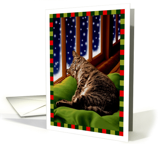 Christmas Cat Sleep in Heavenly Peace card (1185328)