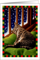 Christmas Cat Sleep in Heavenly Peace card