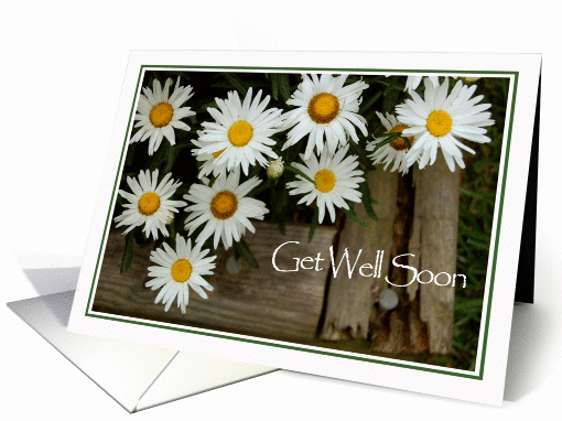 Get Well Healing Thoughts Daisies card (821567)