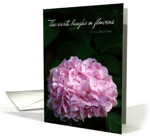 Pink Hydrangea flower card with Quote card (821574)