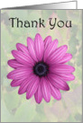 Thank You, Greeting Card with Pink Flower Design card