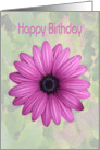 Happy Birthday Greeting Card, with Pink Flower Design card