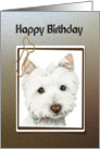 Happy Birthday, cute Westie dog Card