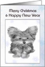 Merry Christmas and Happy New Year with Cute Yorkie Dog Card