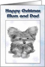Merry Christmas Card to Mum and Dad, with Cute Yorkie Dog card