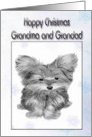 Merry Christmas Card to Grandma and Grandad, with Cute Yorkie Dog card