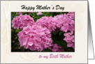 Happy Mother’s Day Card, to my Birth Mother, with Pink Hydrangea card