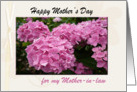Happy Mother’s Day Card, to my Mother-in-law, with Pink Hydrangea card