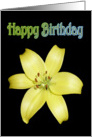 Happy Birthday Greeting Card, with Yellow Lily on silky black card