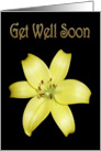 Get Well Soon Greeting Card, with Yellow Lily on silky black card