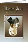 Thank You Greeting Card, with Cute Jack Russell Dog card