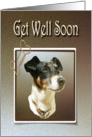 Get Well Soon Greeting Card, with Cute Jack Russell Dog card