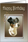 Happy Birthday Greeting Card, with Cute Jack Russell Dog card