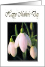Happy Mother’s Day with Pink Snowdrops Card