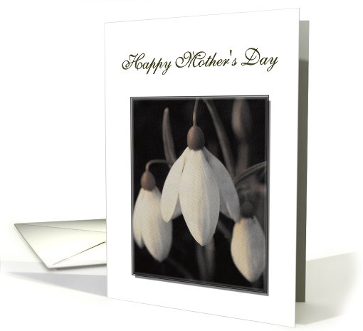 Happy Mother's Day Card, with sepia snowdrops card (813903)