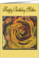 Happy Birthday Mother Card with gold rose card
