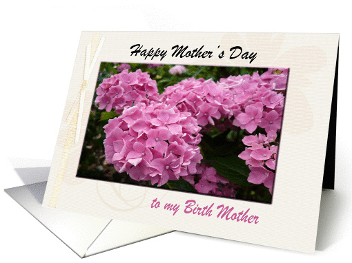 Happy Mother's Day Card, to my Birth Mother, with Pink Hydrangea card