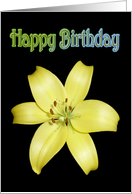 Happy Birthday Greeting Card, with Yellow Lily on silky black card
