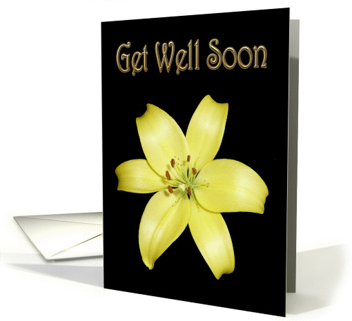 Get Well Soon Greeting Card, with Yellow Lily on silky black card