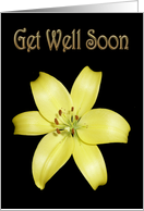 Get Well Soon Greeting Card, with Yellow Lily on silky black card