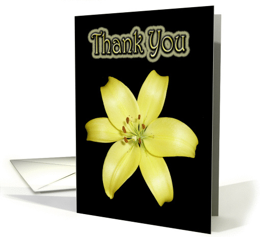Thank You Greeting Card, with Yellow Lily Flower on silky black card