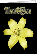 Thank You Greeting Card, with Yellow Lily Flower on silky black card