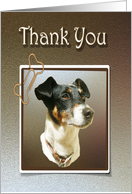 Thank You Greeting Card, with Cute Jack Russell Dog card