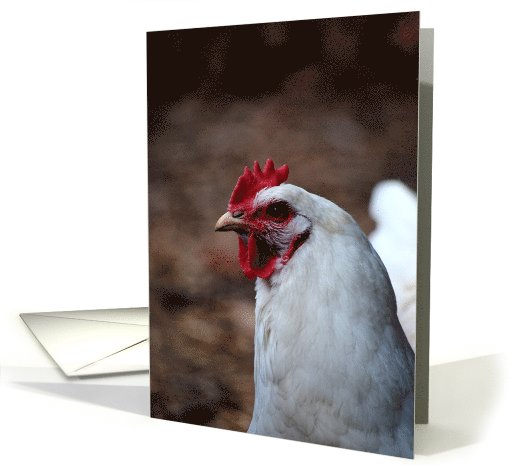 White Chicken card (800295)