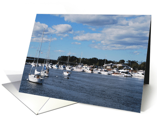 Sail Boats card (804924)