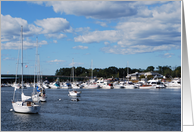Sail Boats card