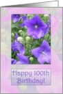 Happy 100th Birthday card