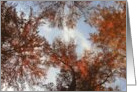 Religious Inspiration Birthday, Fall Trees and Sky card