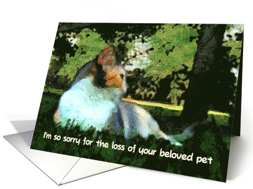 Sorry For the Loss of Your Beloved Pet card (822647)