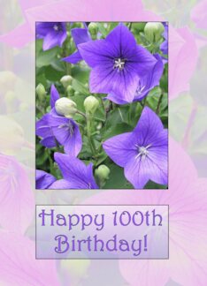 Happy 100th Birthday