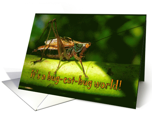 Happy Birthday . . . Bug-Eat-Bug World For Bug Lovers card (854139)