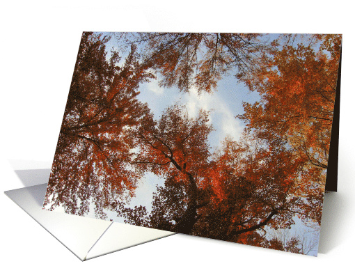 Religious Inspiration Birthday, Fall Trees and Sky card (877376)