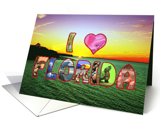 Scenic and Colorful - I Heart Florida - Blank Inside card (915712)