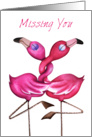 Missing You Friend - Entwined Flamingos - Crimson Kisses Range card