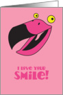 I love your smile! flamingo bird thinking of you card