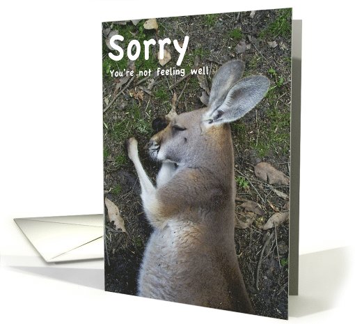 Sorry you're not feeling well Kangaroo lying down card (831326)