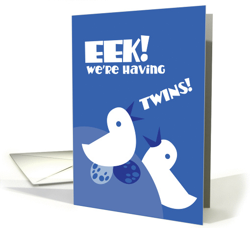 EEK! We're having twins! boys card (834967)
