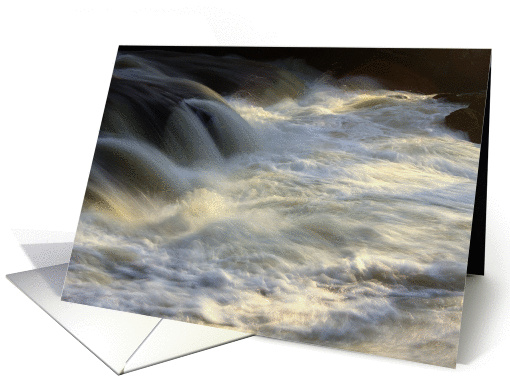 Rapids card (809530)