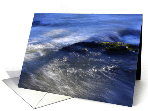Rapids card (809534)