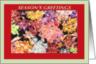 Season’s Greetings, holiday, Christmas, ribbon collage with border card