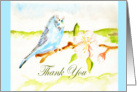Thank you, budgie on apple branch, blue border card